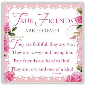 henp60 TRUE FRIENDS FRIDGE MAGNET