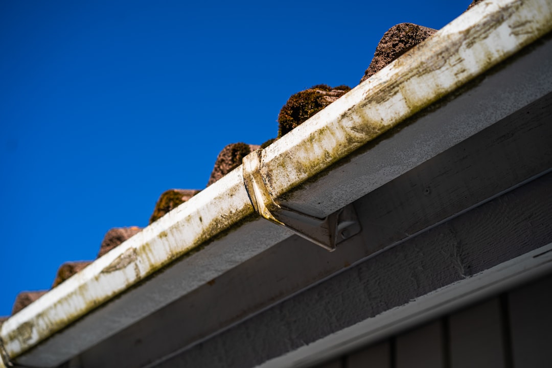 Gutter Installation and Repair