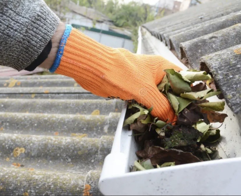 Gutter Cleaning