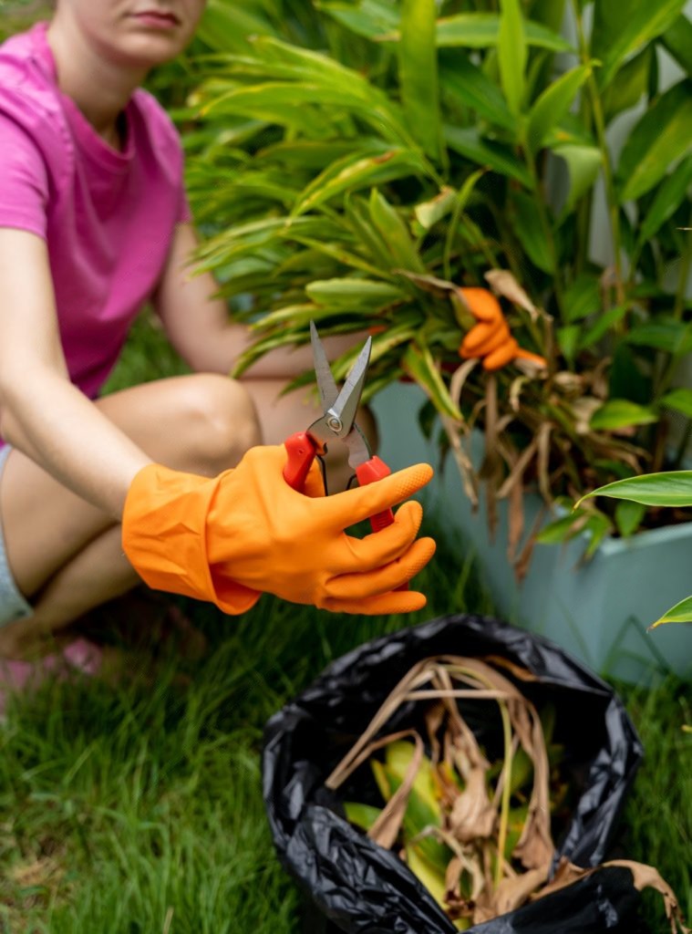 Garden Maintenance